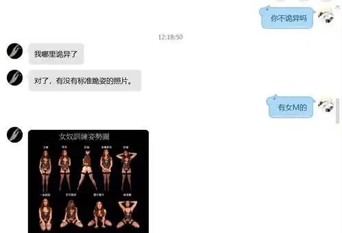 任务字母圈辱骂教程训练自己成为msp圈的规矩与打法字母圈k0到k9基本