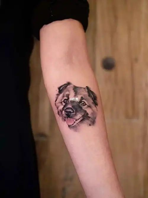 newtattoo工作室#newtattoostudio  #小狗头像  #狗狗纹身  #宠物