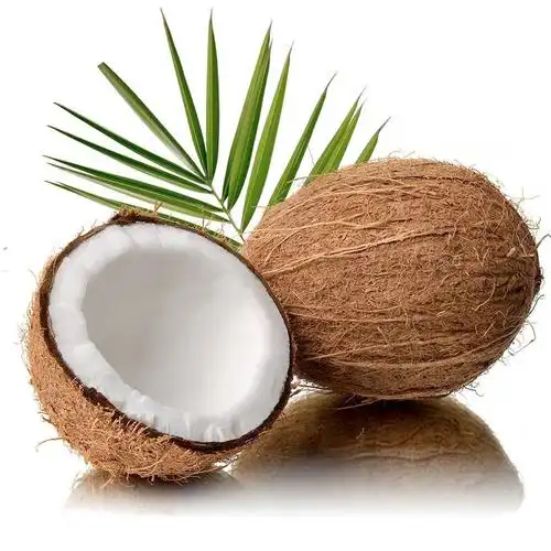 海南毛椰皇毛椰子老椰子椰青椰汁新鲜水果6个装