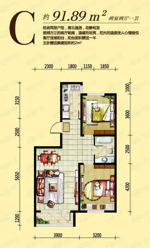 11号楼c户型两室两厅一卫