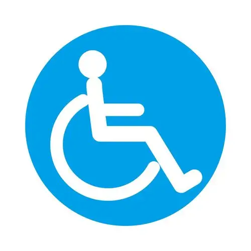 一份和残疾人朋友息息相关的政策指南