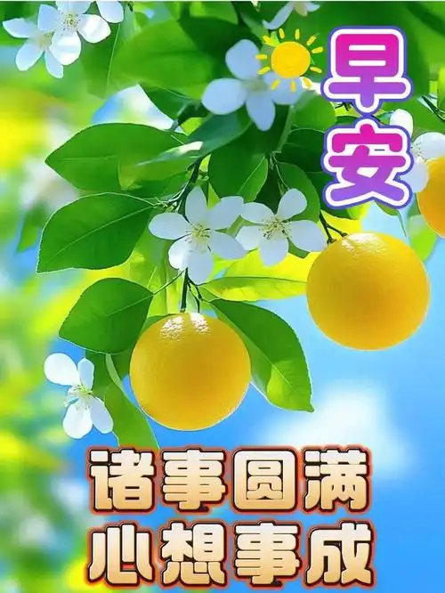 10.17周四早安,让我们在这个美好的季节,享受生活的宁静与淡然