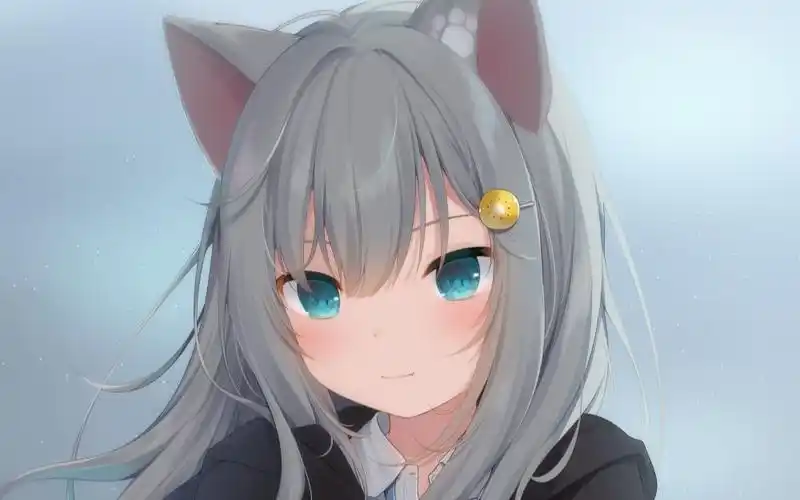 『动态壁纸』(猫羽雫)在风中的小猫_哔哩哔哩_bilibili