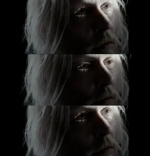 格林德沃第一次被提及是在hp1里,和他的恋人——邓布利多一起被印在