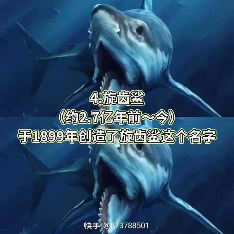 巴西达摩鲨 9.哥布林鲨 7.双鬓鲨 5.邓氏鱼 (65 - 抖音