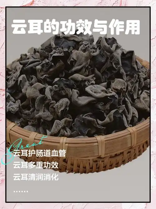 云耳的功效与作用 93姐妹们有没有发现云耳这个宝藏食材呀!