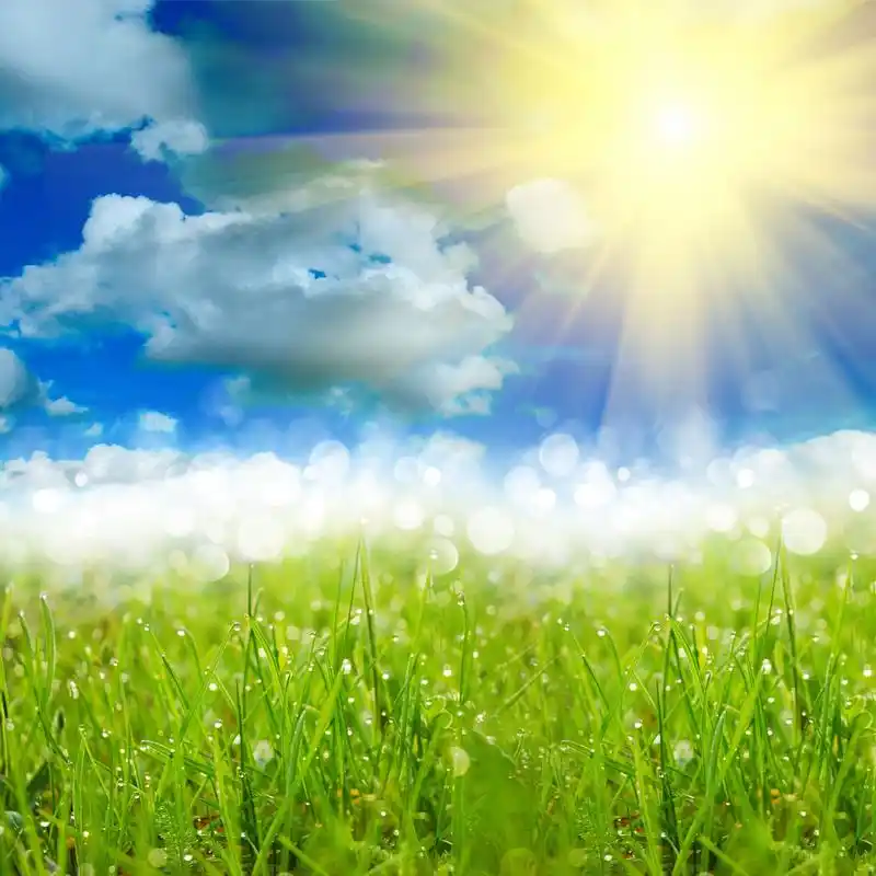 蓝天白云阳光与草地背景图片素材下载(图片id:282554)_-自然风景-图片