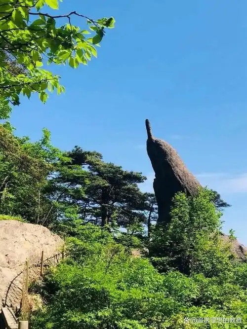 《黄山奇石》教学反思|查漏补缺,精益求精