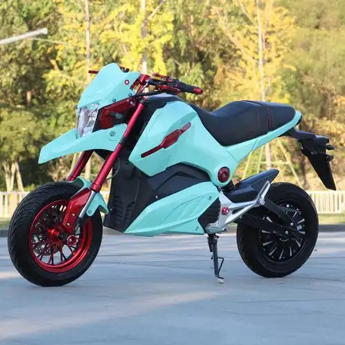 可上牌m3小猴小子电动摩托车骑士车m5电瓶车