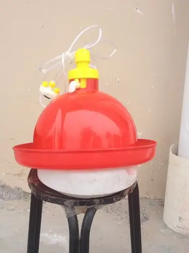 雏鸡饮水器育雏饮水器小鸡鸡苗饮水器鸡心型鸡用饮水器批发