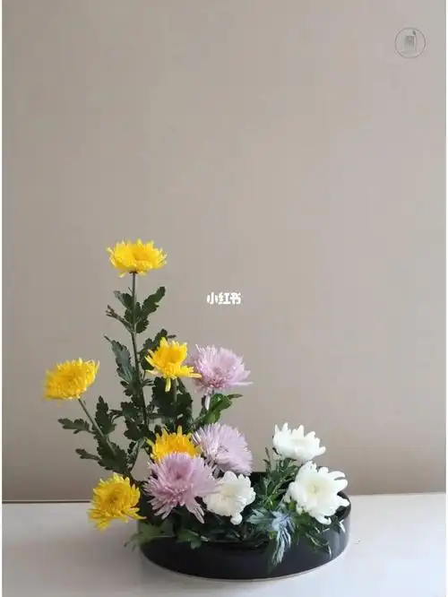 色彩盛花样式本位|菊花三种插 秋季之花