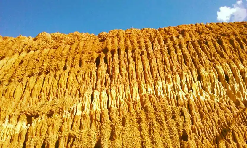 happy new yaer 2017👑🎂🎄 - 美篇