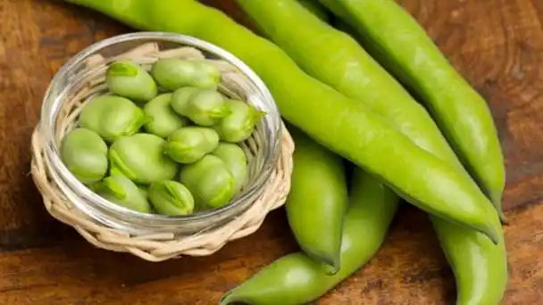 蚕豆又称蚕豌豆,豌豆的功效与作用