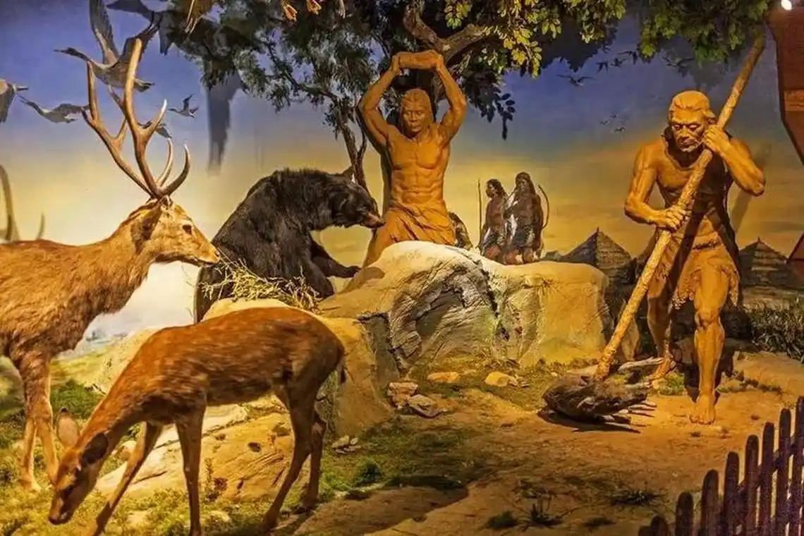 在人类进化的过程中,关于后代的繁衍,男女双方谁的付出更多