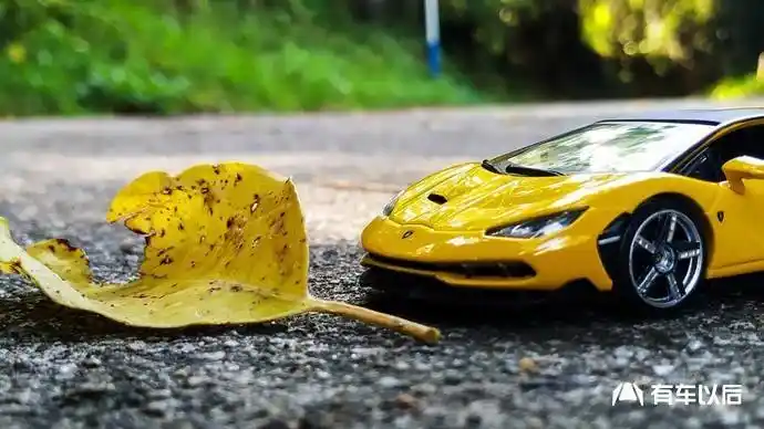 与黄叶相衬的兰博基尼百年纪念款