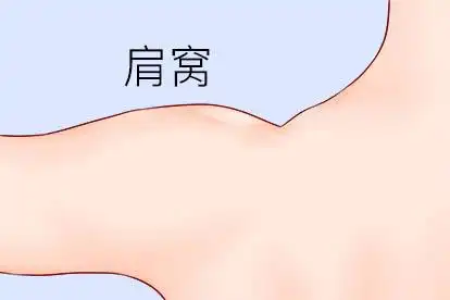 肩窝的位置图