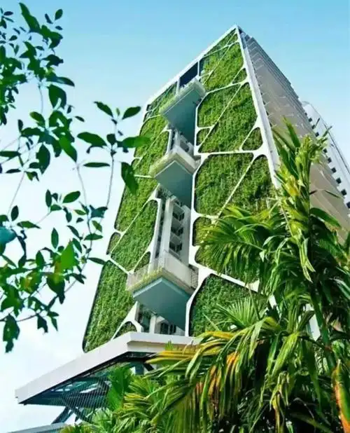 one体育园林景观设计中的立体绿化到底是什么?设计布局有什么特点?