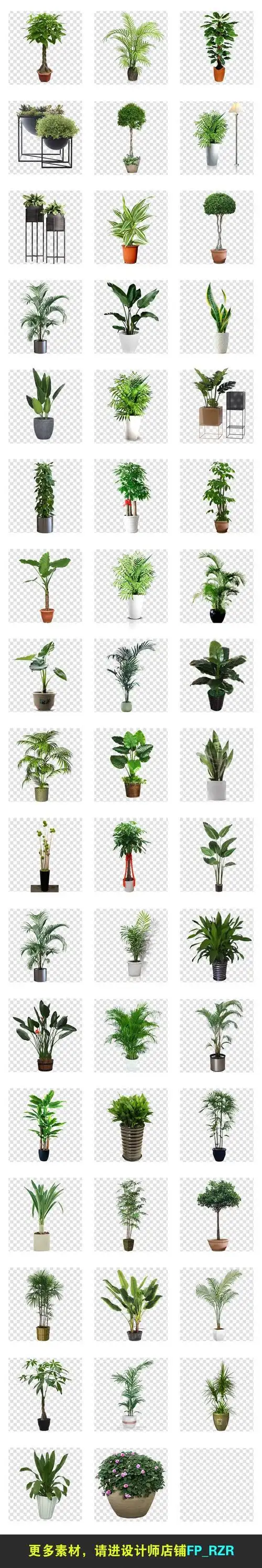 50款景观绿植盆栽盆景花草png免扣植物素材