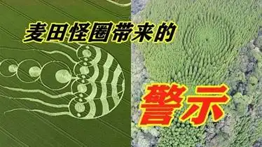 对于麦田怪圈外星人真的回信了究竟在向人们传达什么