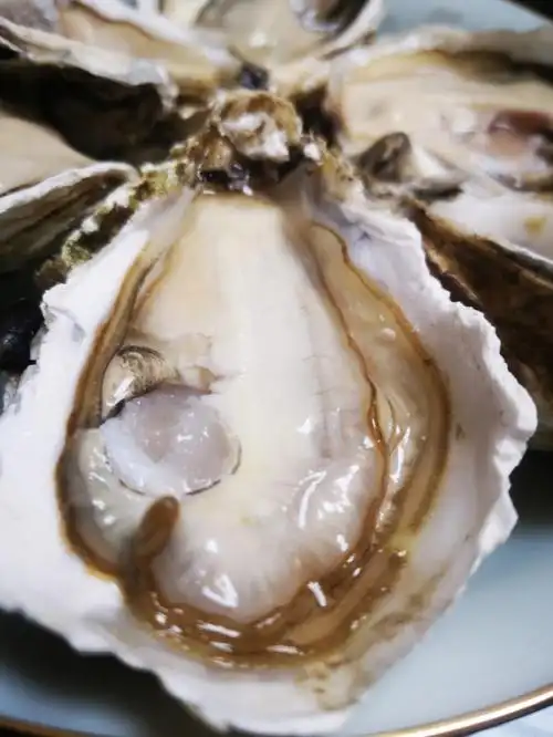 笔记灵感生蚝不能停,想吃就吃.#生蚝爱好者