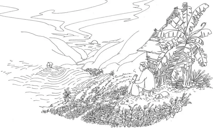 帕雅珍|包装|平面|新道设计 - 原创设计作品 - 站酷 (zcool)