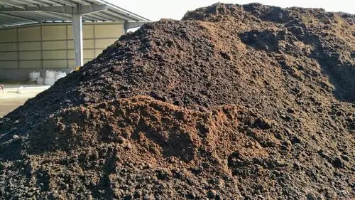 万圣节    一起"鬼混"#牛粪发酵有机肥