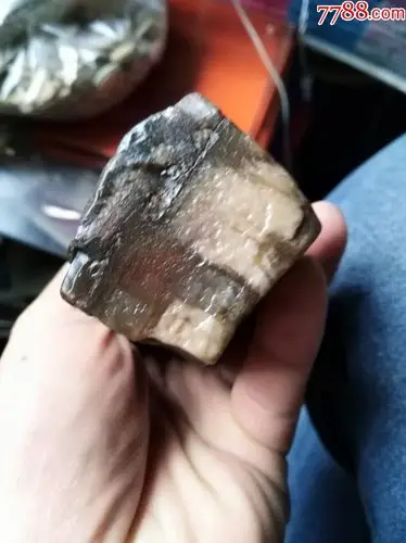 新疆纯天然木化石,上手滑润玉化非常好,天然手把件