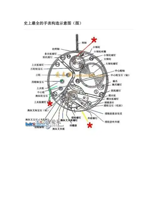 史上最全的手表构造示意图图