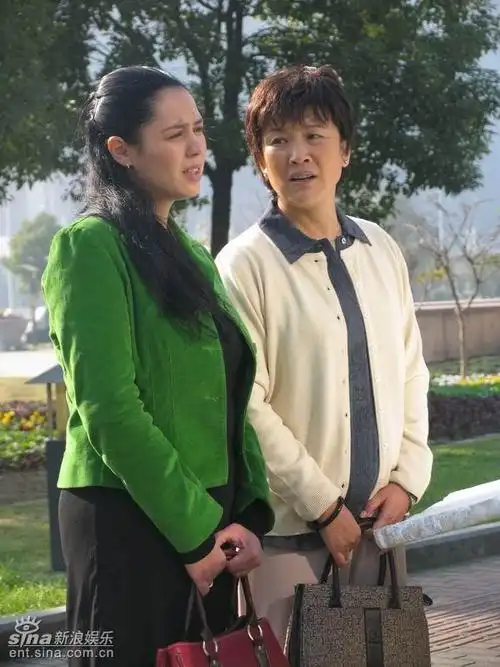 情归西西里剧情介绍 - 电视剧 - 乐视直播网