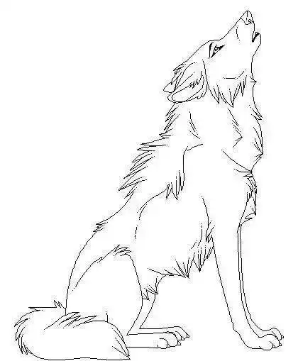 狼简笔画凶残画法