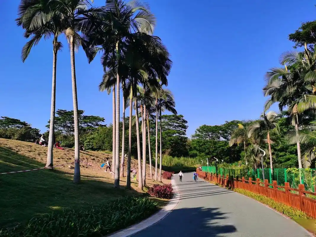 观澜横坑水库绿道,休闲运动遛娃好地方.