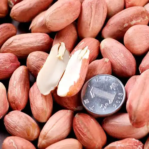 花生米 生 新货2018年5斤装10斤包邮农家散装特级大果花生仁