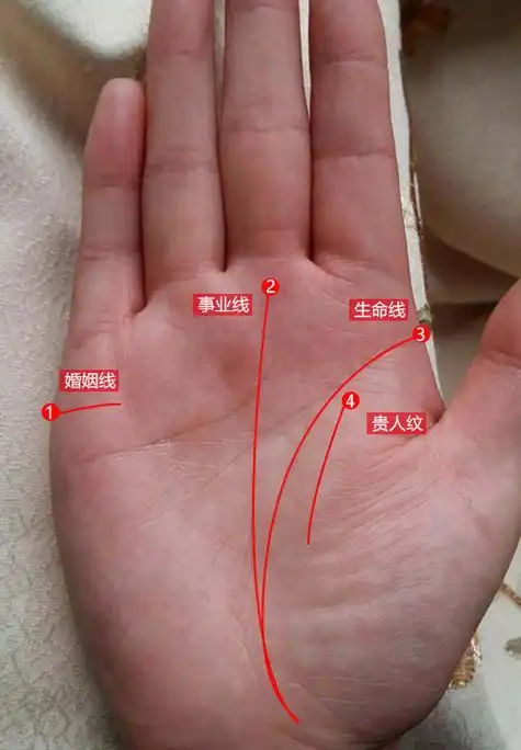 女人有钱手相金三角_女人有钱手相金三角_女人有钱手相金三角