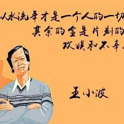【人文素养】王小波的杂文集《我的精神家园》导读