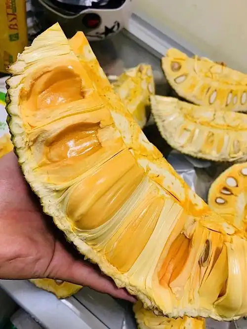 竟然还有人分不清菠萝蜜与榴莲