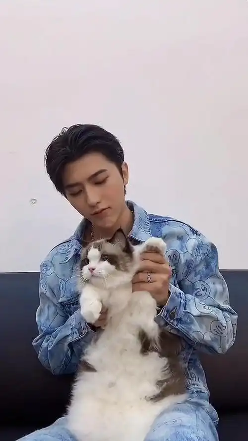 蔡徐坤抱猫跳情人,这锁骨,啊呸,这猫真可爱啊