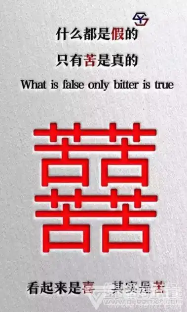 抖音什么都是假的只有苦是真的壁纸v10正式版