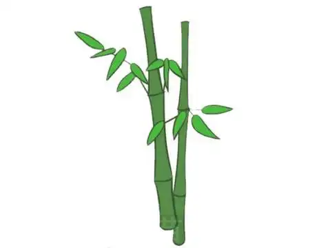 竹子简笔画涂什么颜色