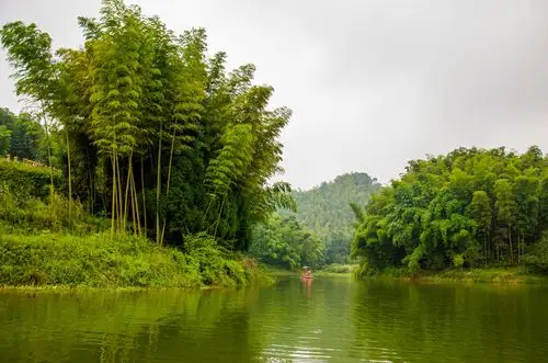 清爽蜀南竹海游