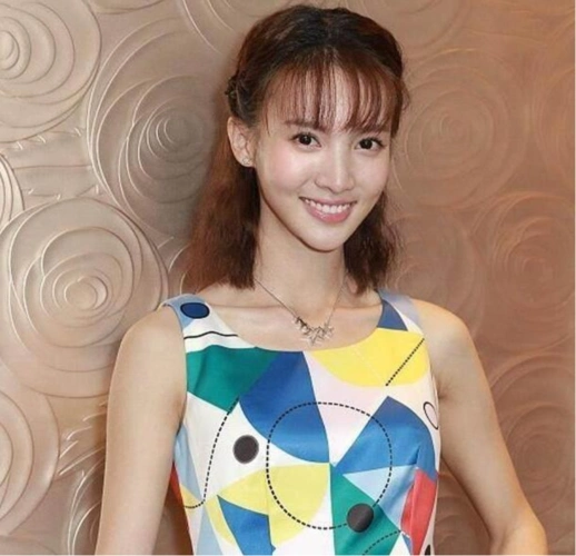 金晨,内地明星,明星经历,演员