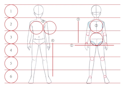 漫画人物结构画不好?看看别人是怎么画的(强烈建议收藏)