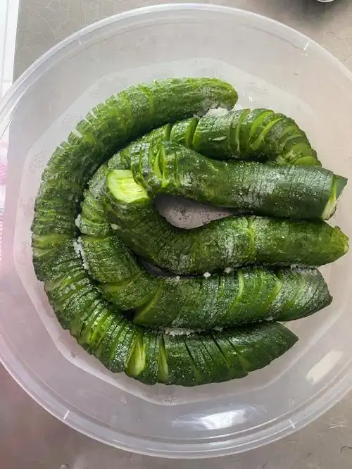 蓑衣黄瓜好学好上手