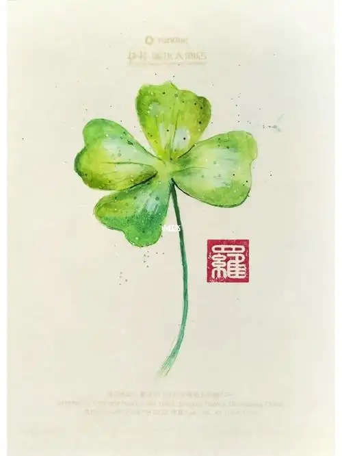 水彩四叶草