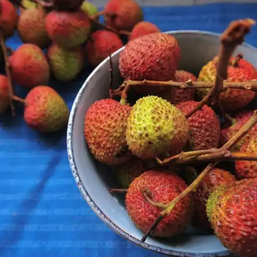 夏天的水果荔枝