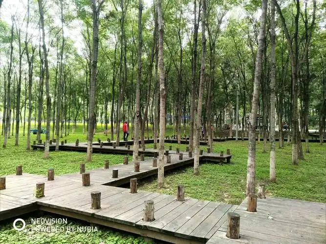 20200815东升镇八家郊野公园 - 美篇