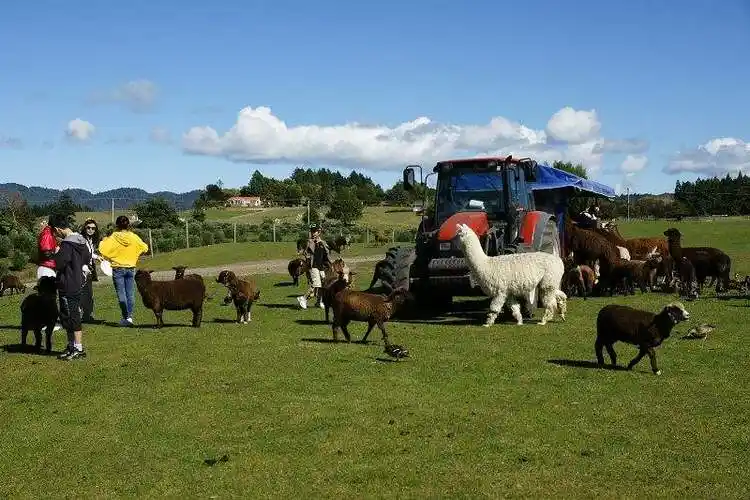 新西兰将限制外国人买房买农场