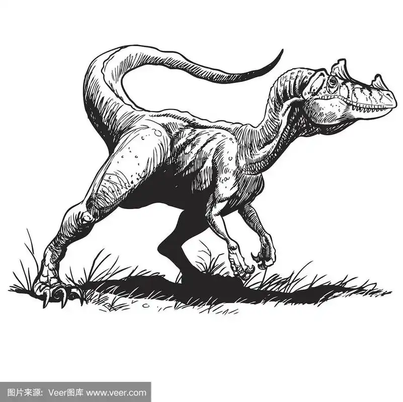 角鼻龙,史前时代,无人,绘画插图,卡通