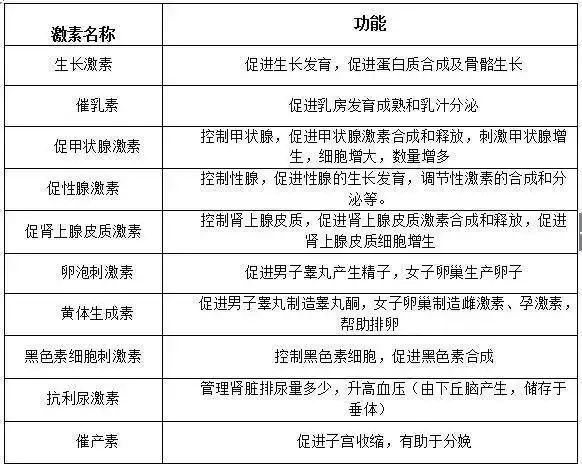 垂体激素功能有哪些呢?垂体,位于丘脑下部的腹侧,为一卵圆形小体.
