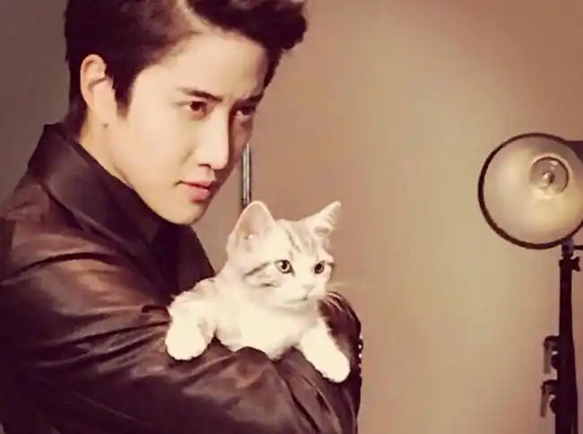 由于上周泰国版《一吻定情》的mike来了《中餐厅》!