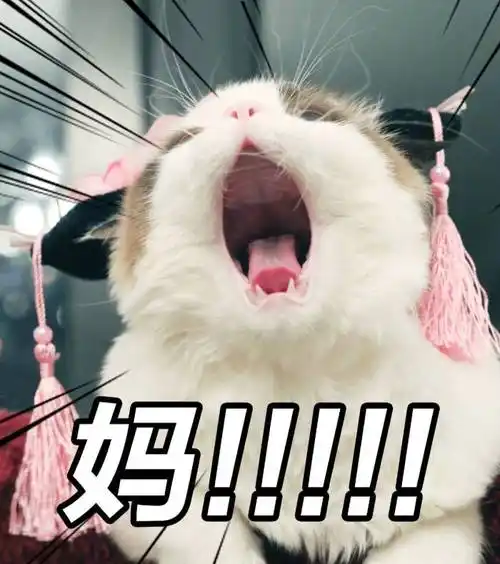 一拍头就叫妈的小猫咪,一拍头就叫妈的小猫咪表情包时尚新闻插图